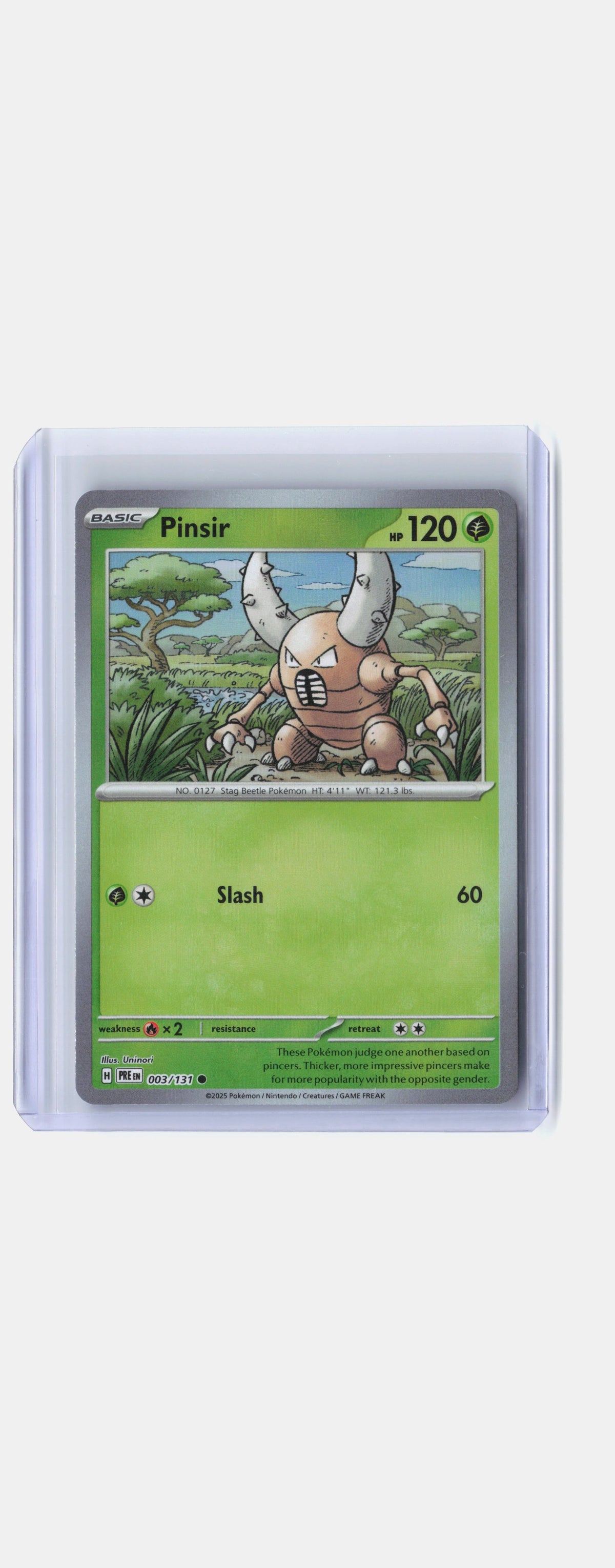Pinsir (Master Ball Pattern)