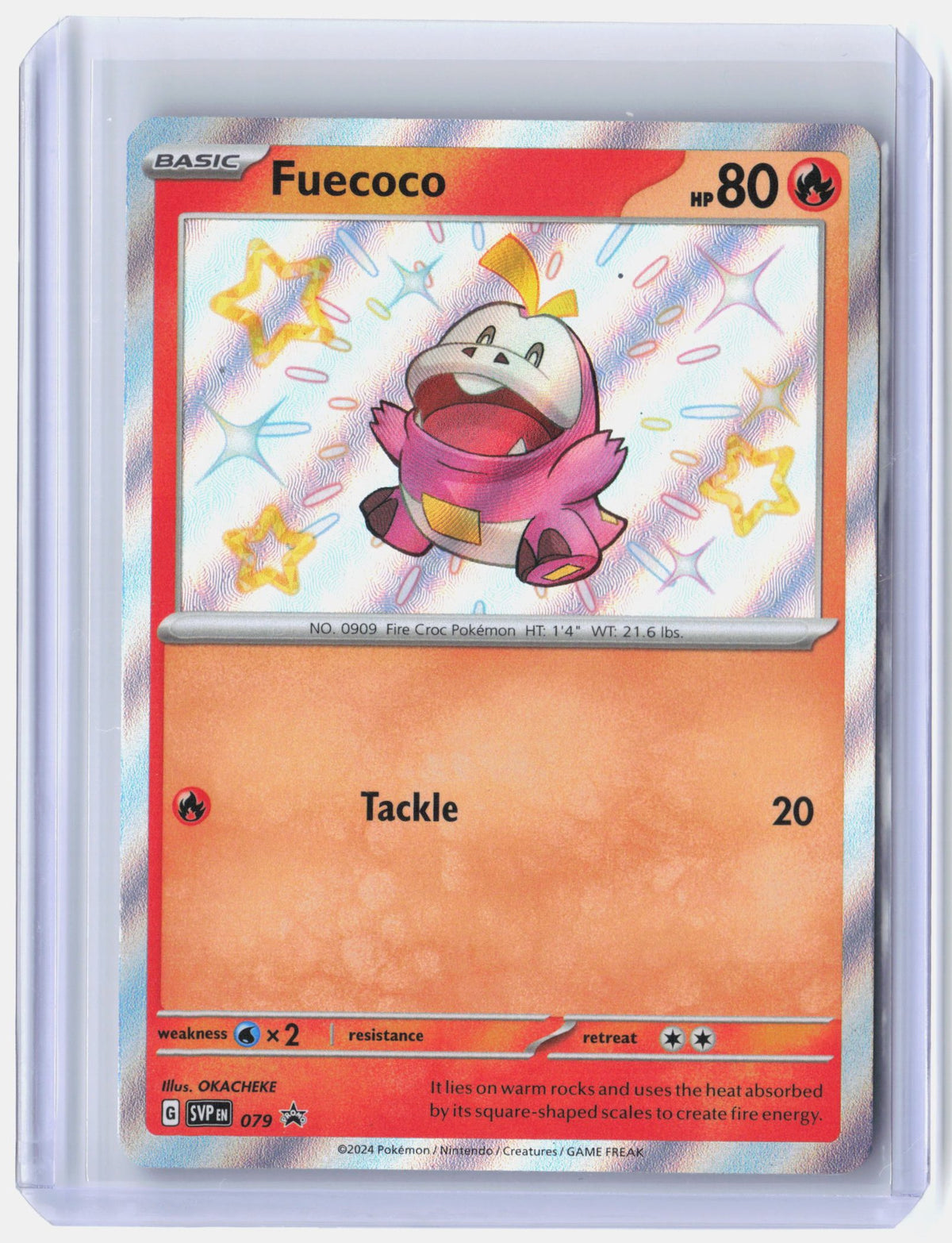 Fuecoco - 079