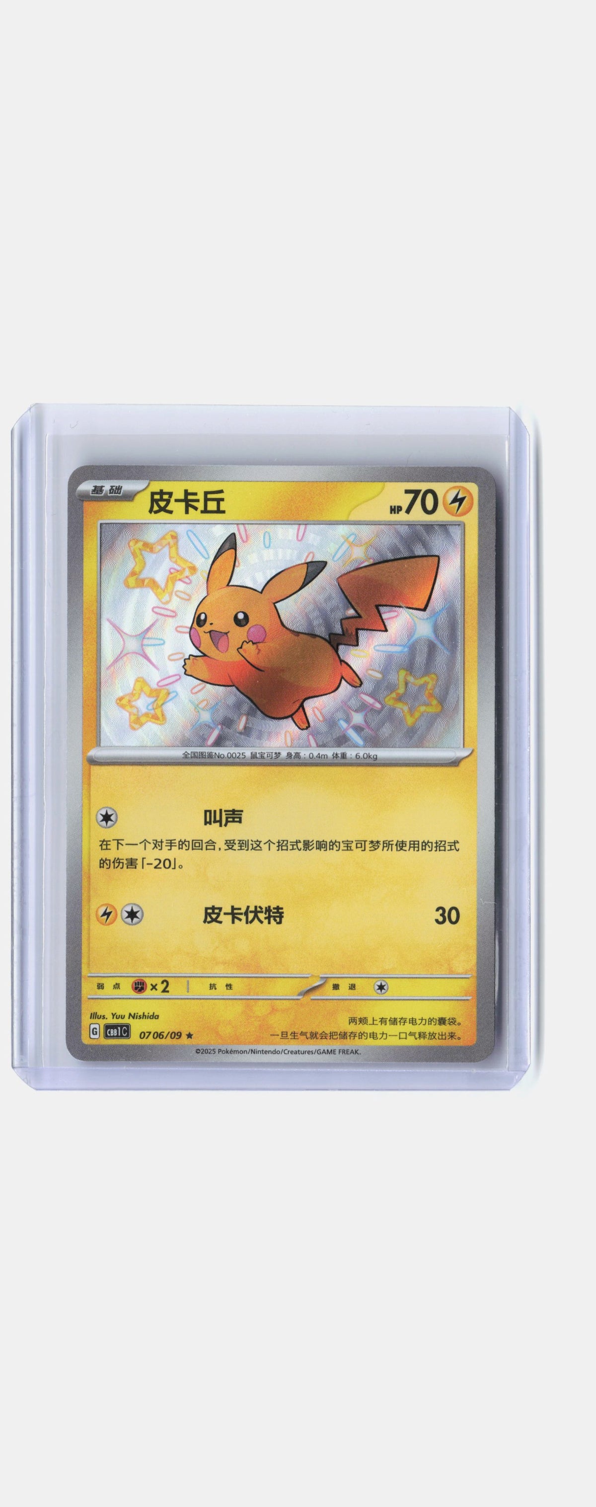 Pikachu (Shiny) - 706