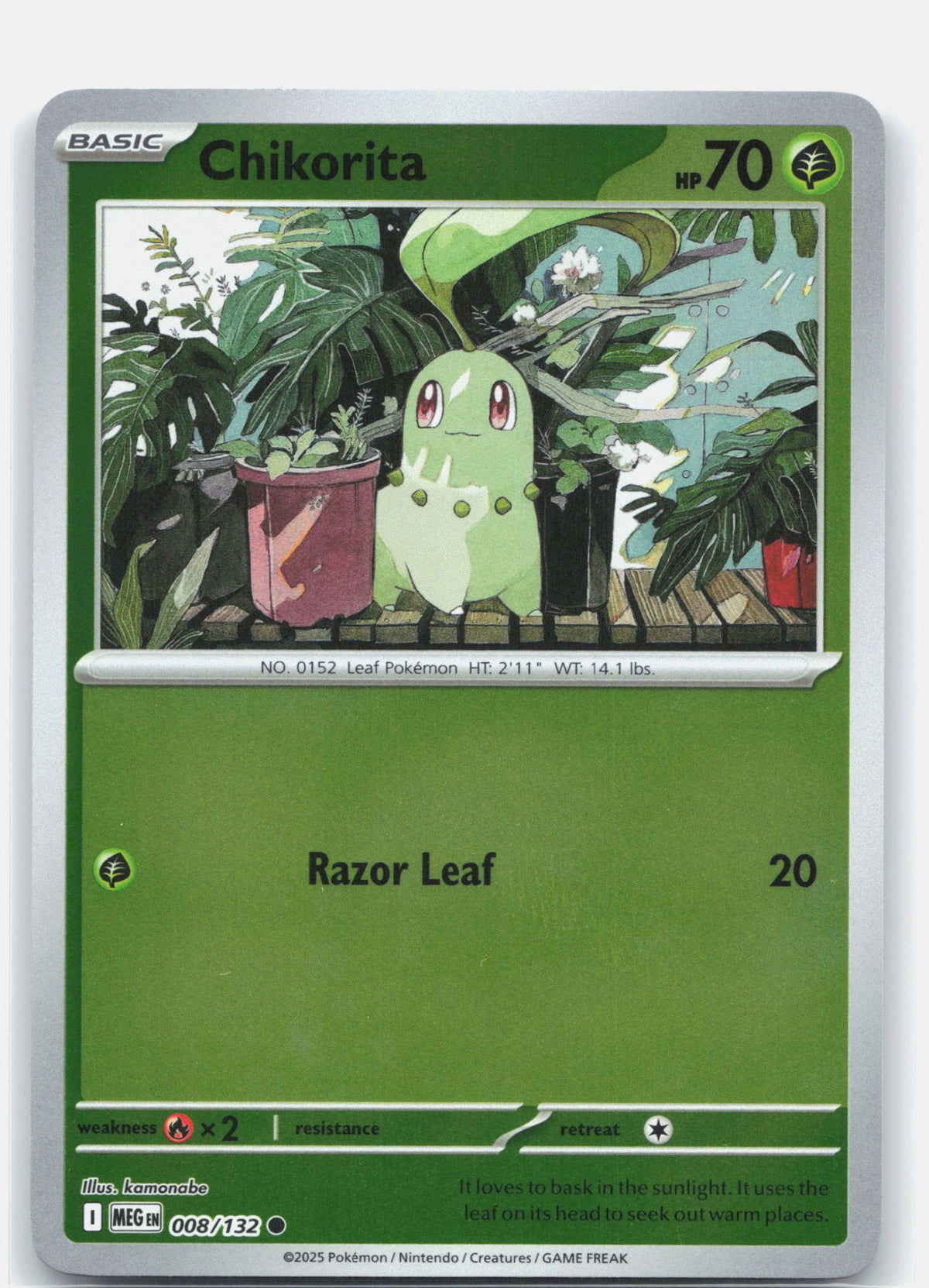 Chikorita 008 (Reverse Holofoil) - ME01: Mega Evolution
