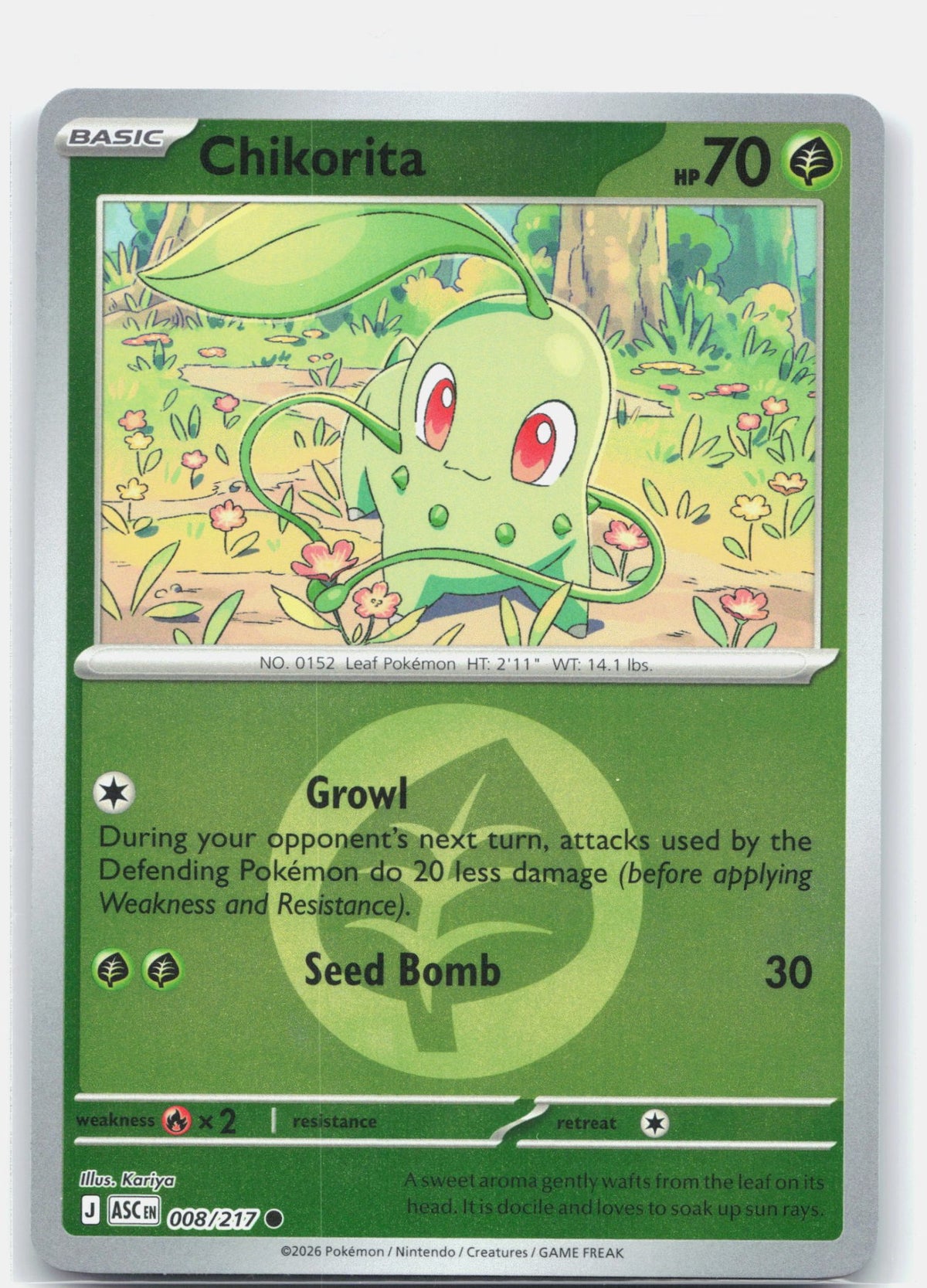 Chikorita (Energy Symbol Pattern) | Near Mint