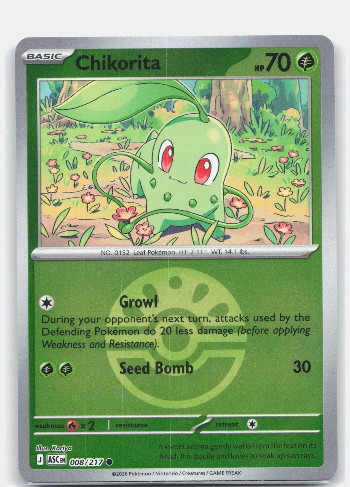 Chikorita (Friend Ball) | Near Mint