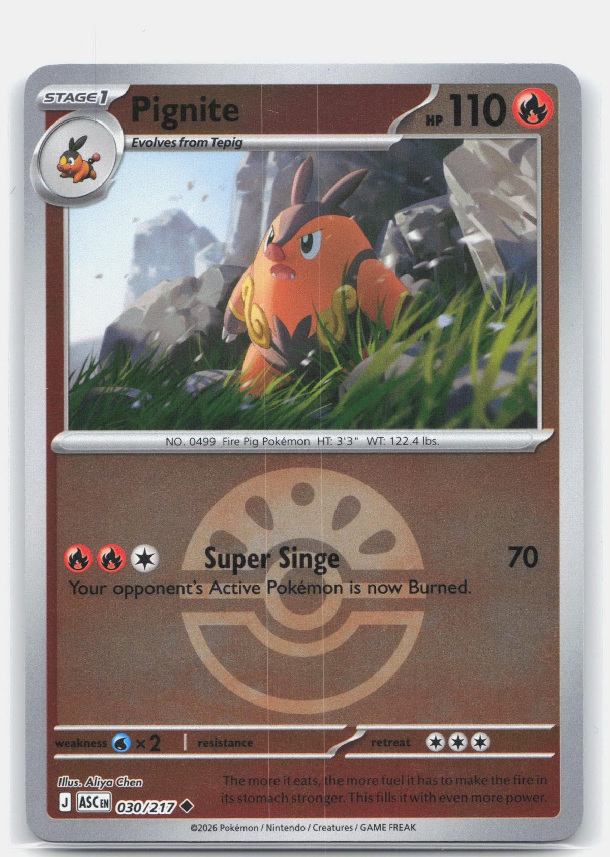 Pignite (Friend Ball) | Near Mint