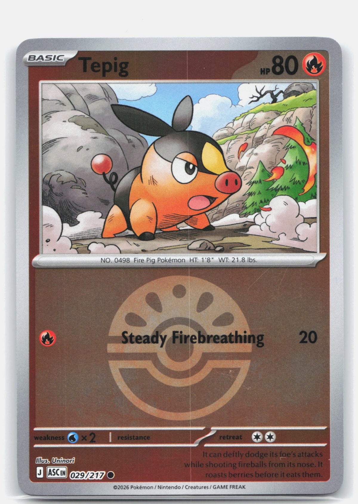 Tepig (Friend Ball) | Near Mint