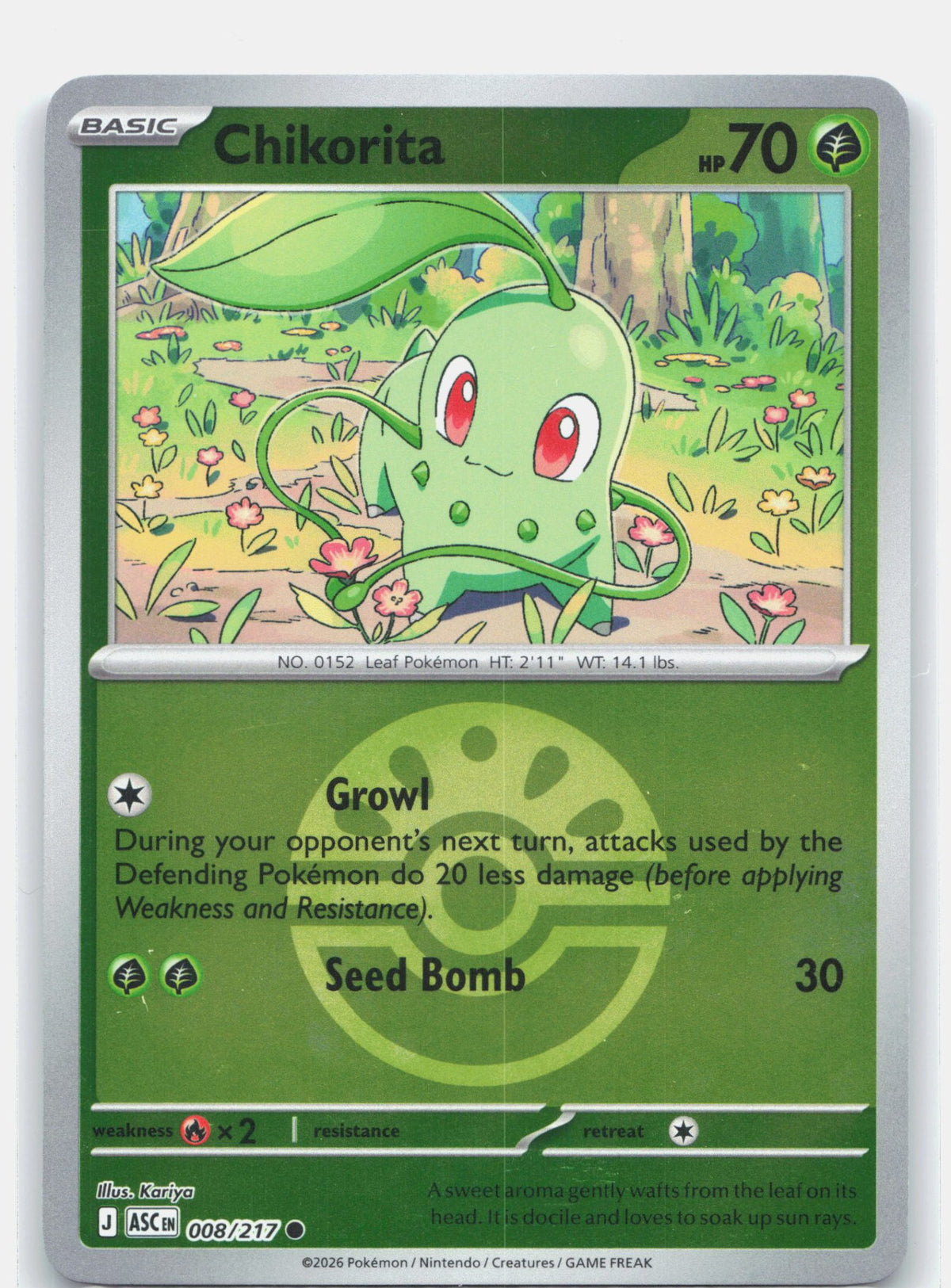 Chikorita (Friend Ball)