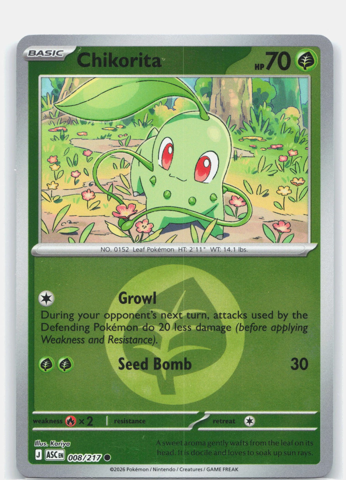 Chikorita (Energy Symbol Pattern)
