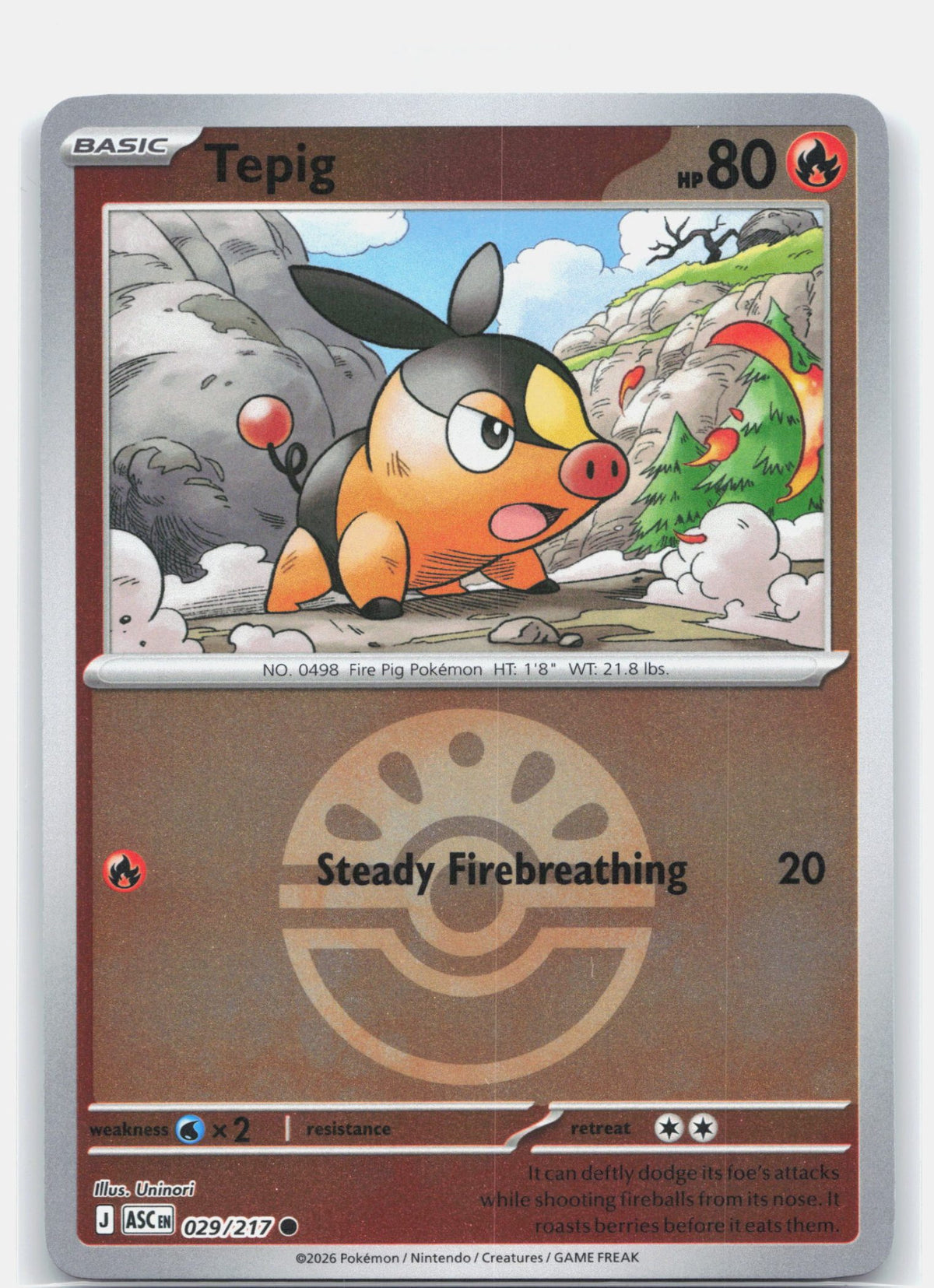 Tepig (Friend Ball)
