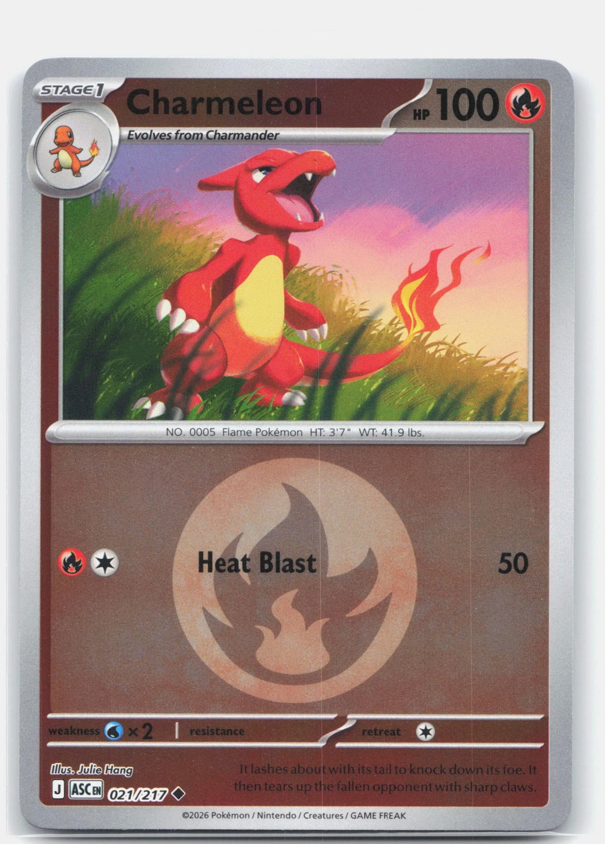 Charmeleon (Energy Symbol Pattern)