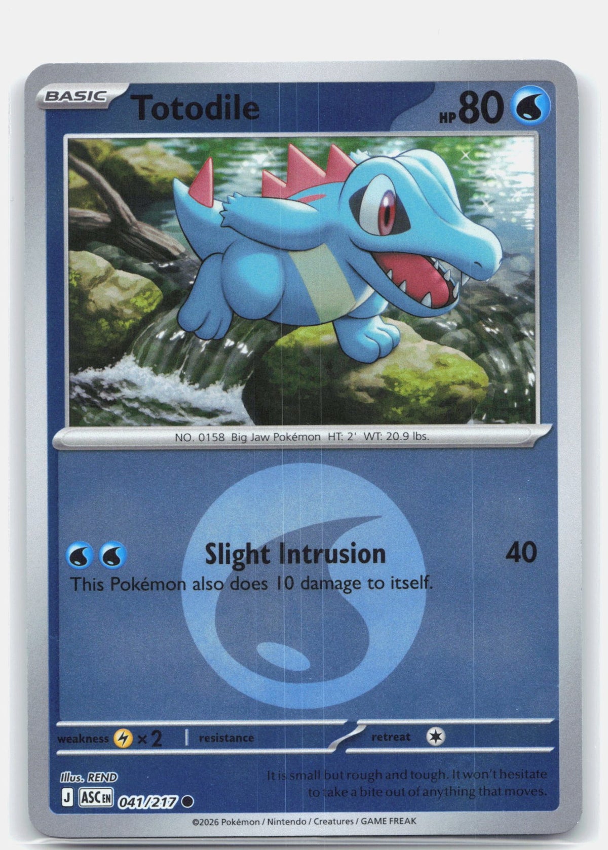 Totodile (Energy Symbol Pattern) | Near Mint