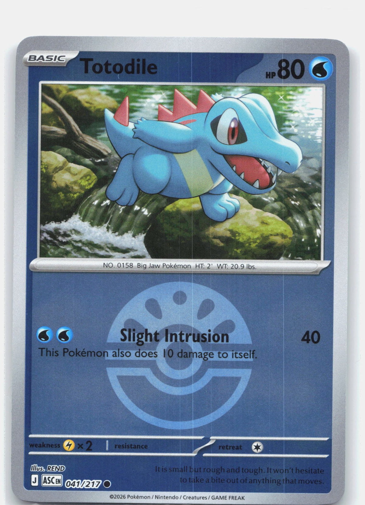 Totodile (Friend Ball) | Near Mint