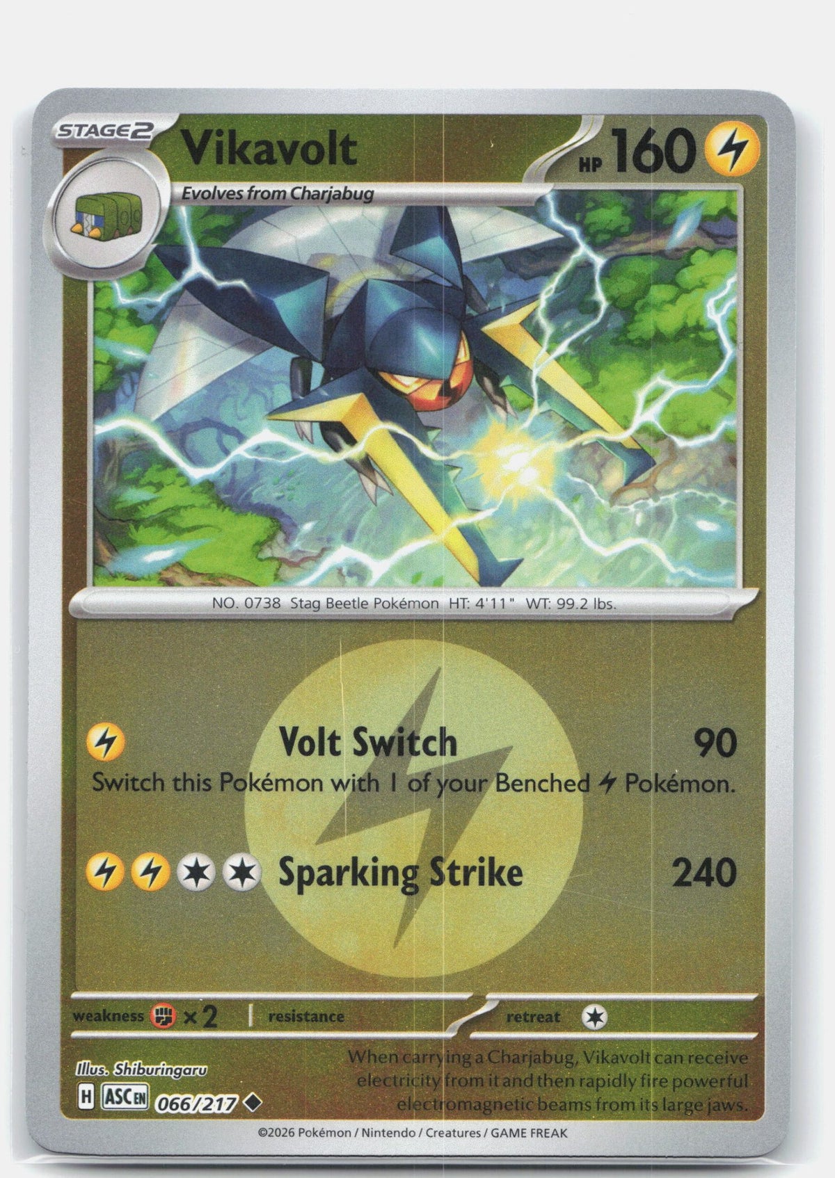 Vikavolt - 066/217 (Energy Symbol Pattern) | Near Mint