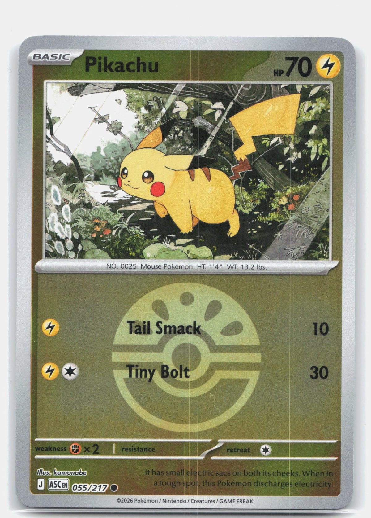 Pikachu (Friend Ball) | Near Mint