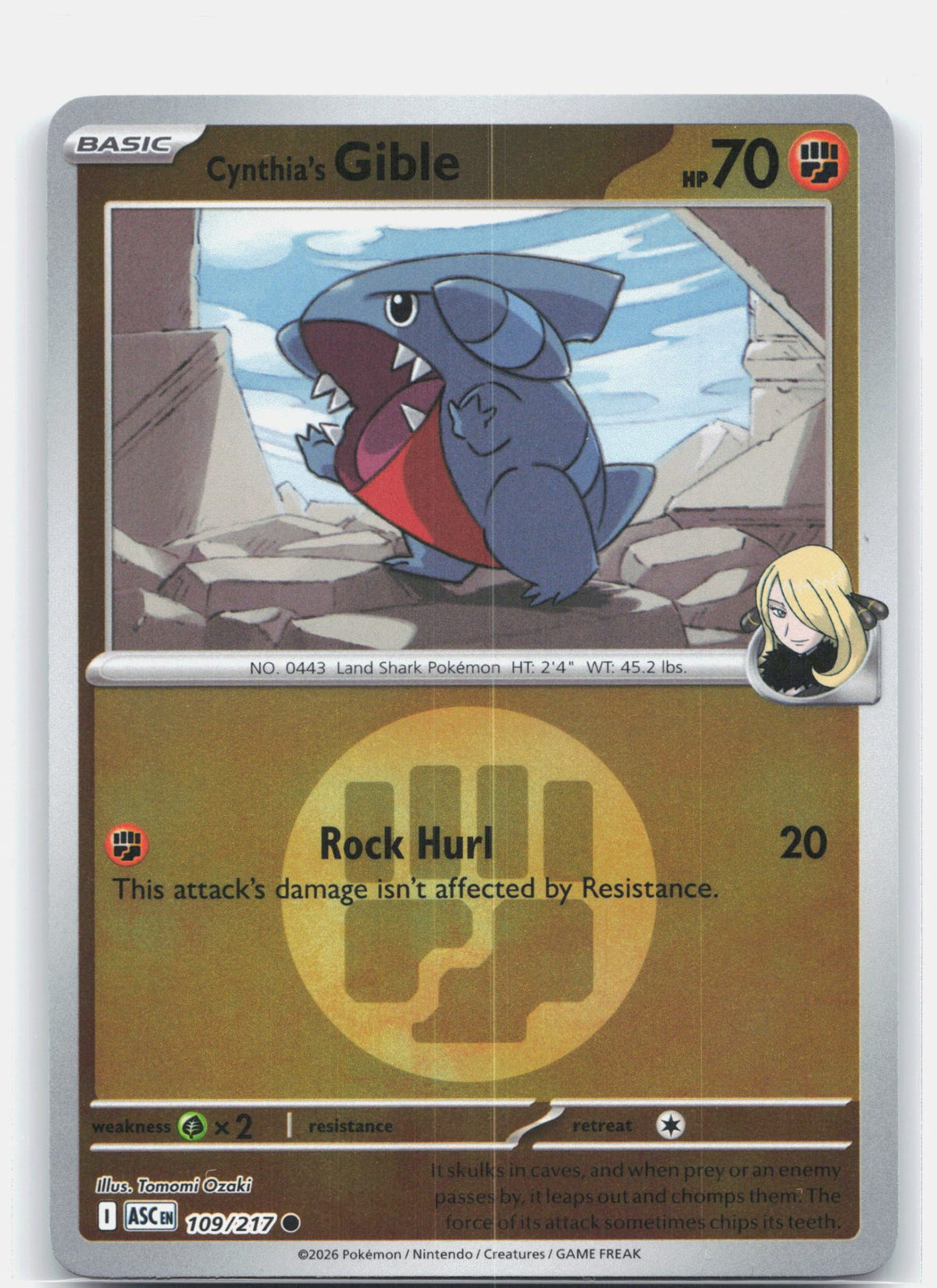 Cynthia's Gible (Energy Symbol Pattern)