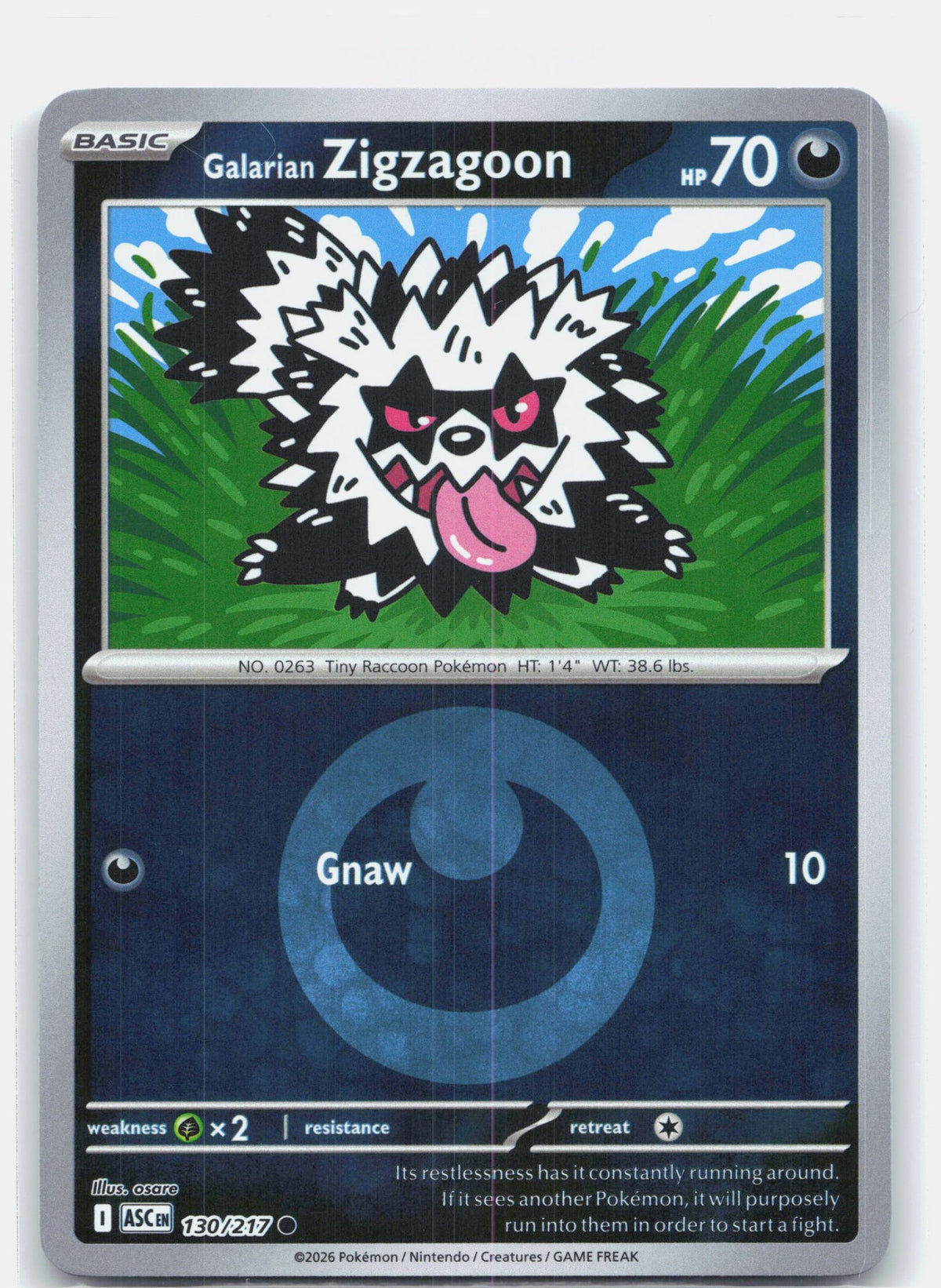 Galarian Zigzagoon (Energy Symbol Pattern)