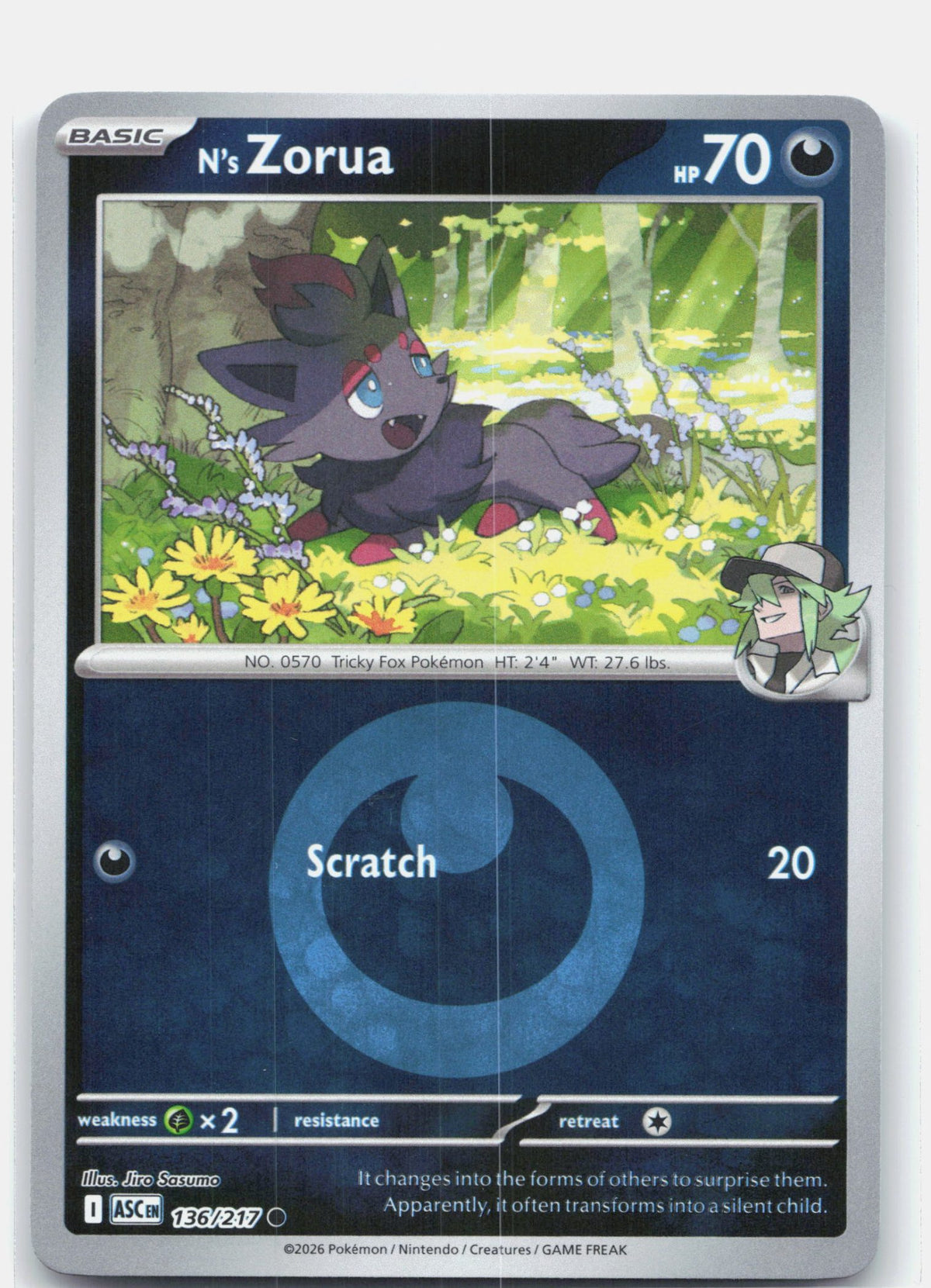N's Zorua (Energy Symbol Pattern)