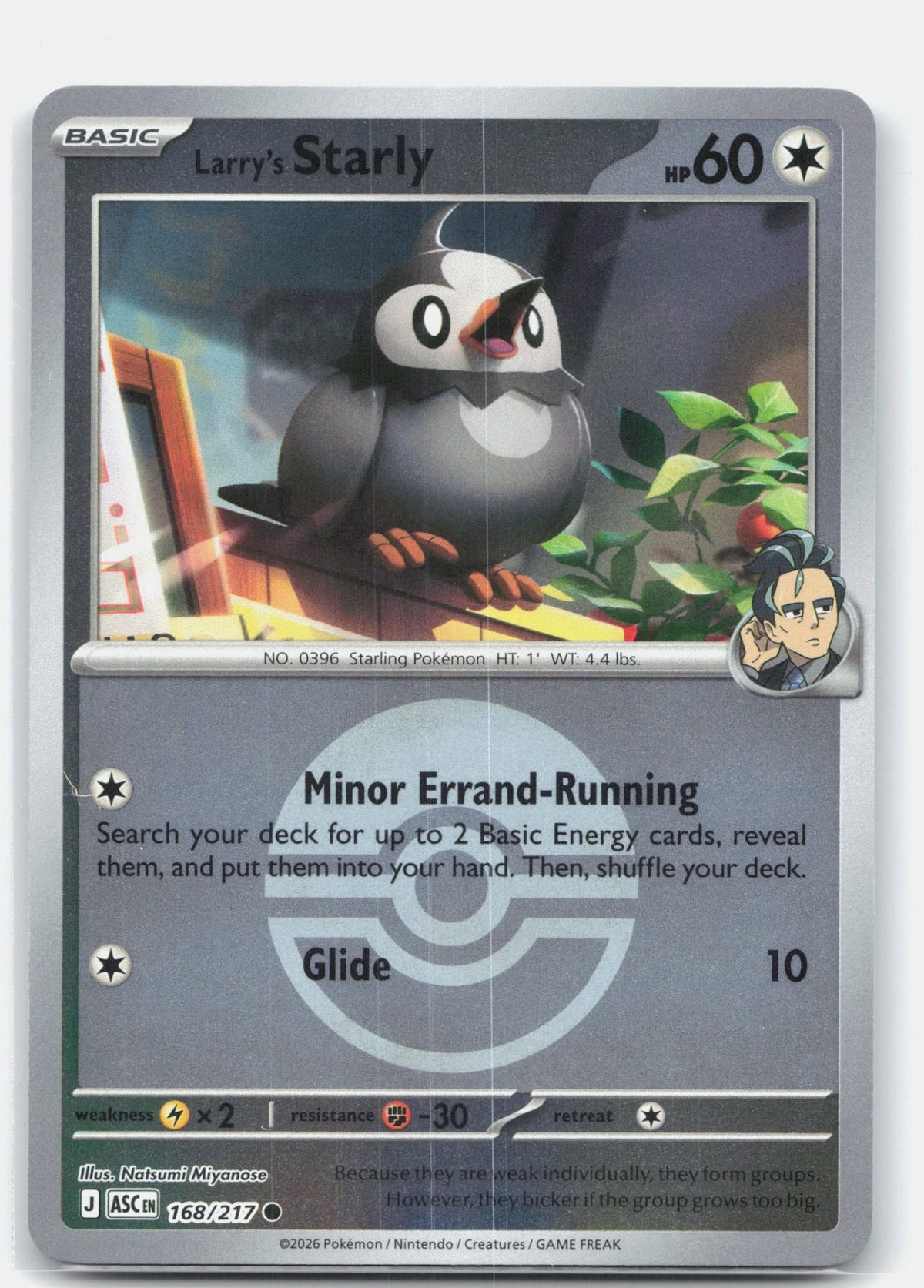 Larry's Starly (Poke Ball) | Near Mint