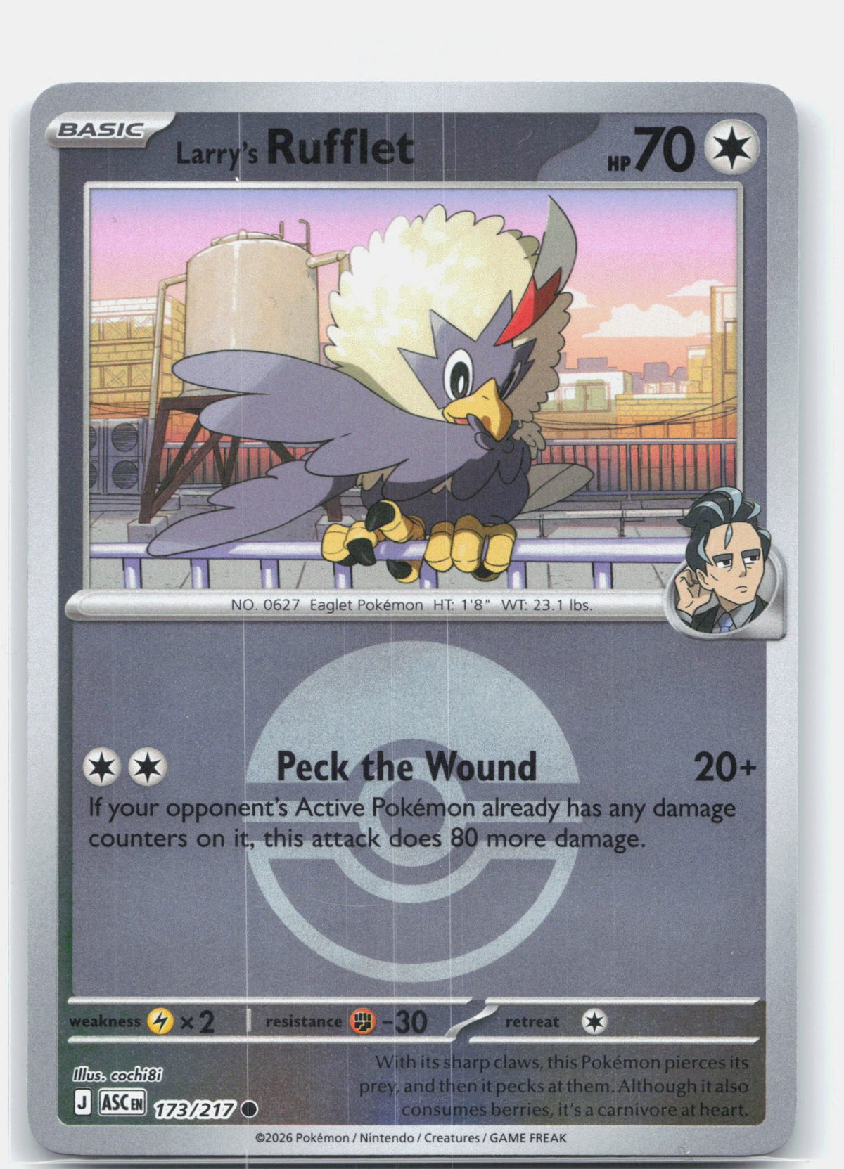 Larry's Rufflet (Poke Ball) | Near Mint