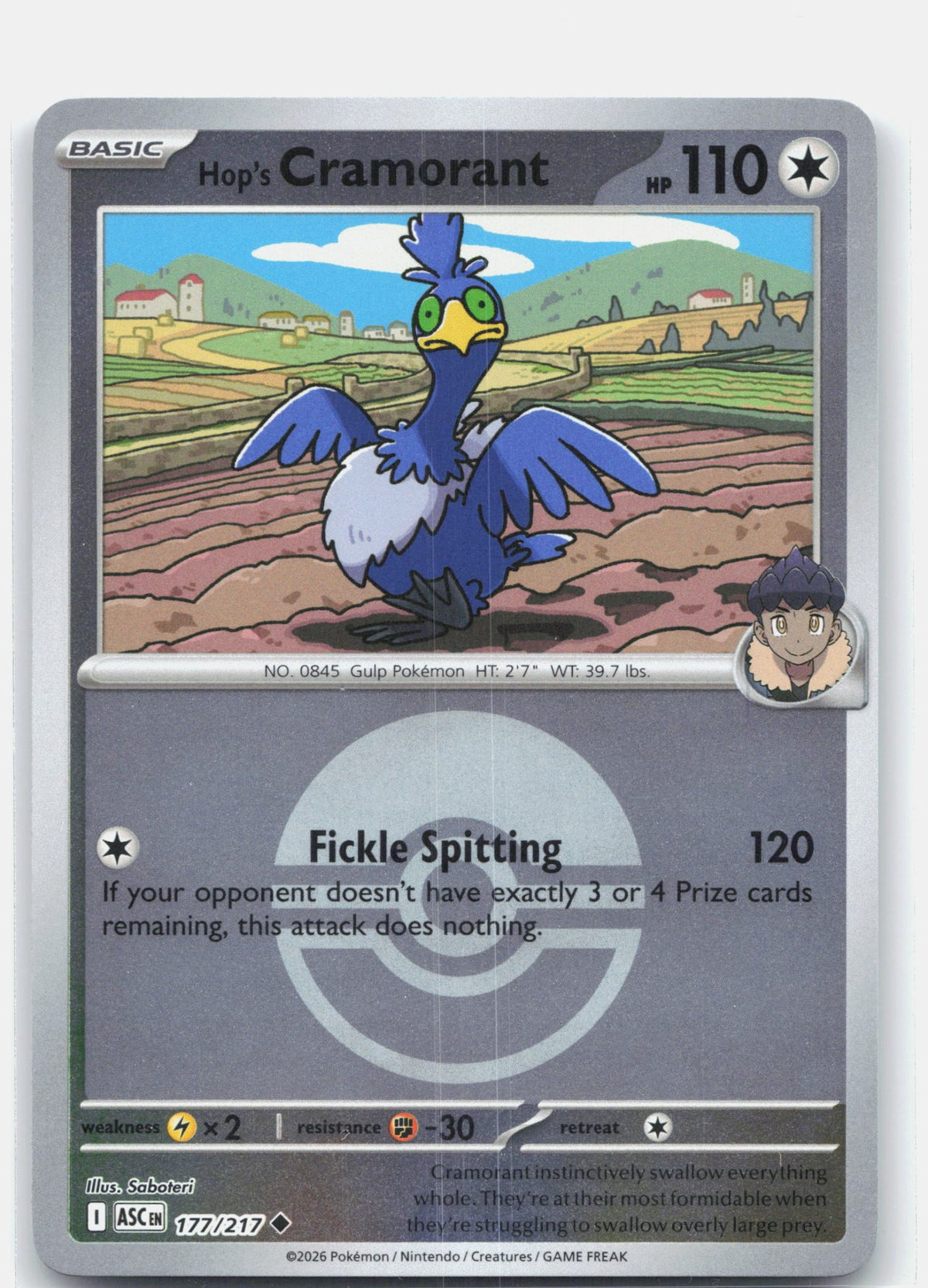 Hop's Cramorant (Poke Ball)