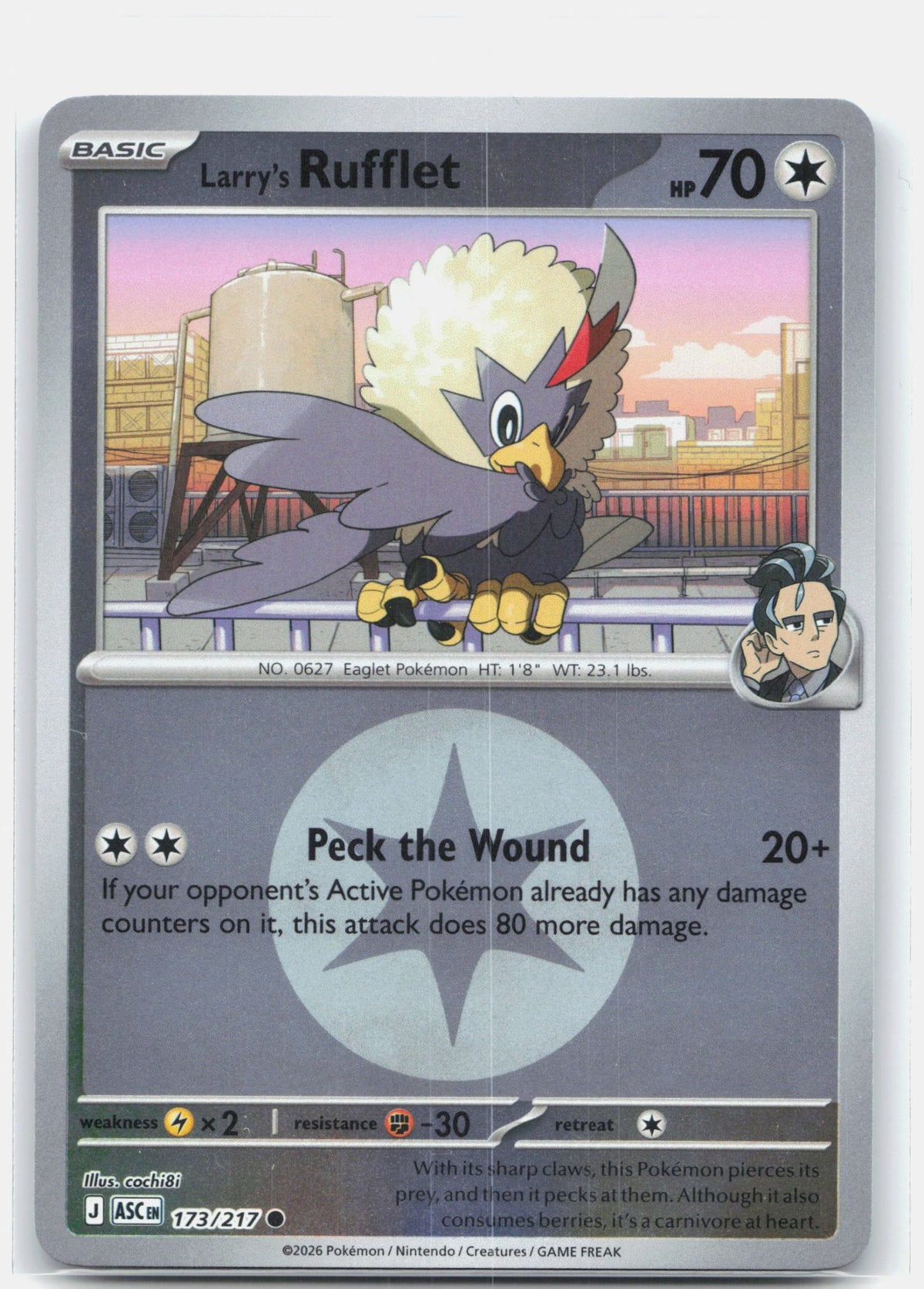 Larry's Rufflet (Energy Symbol Pattern)