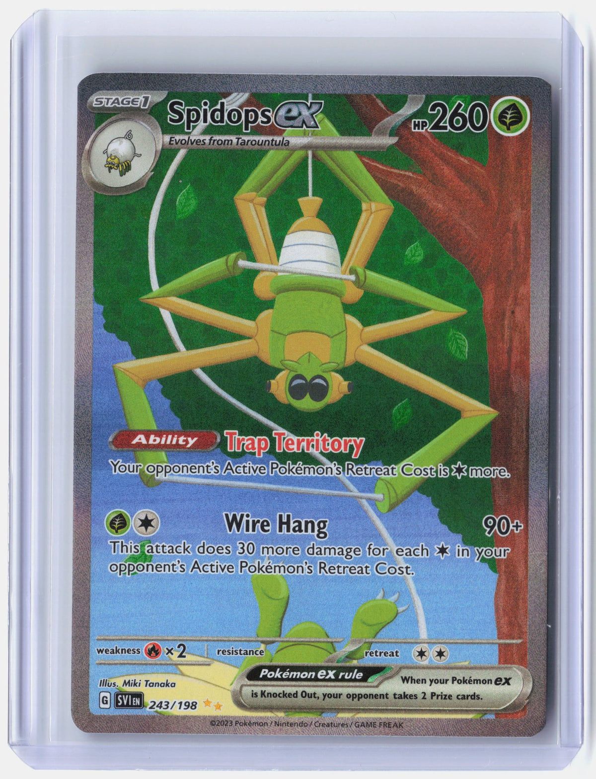 Spidops ex - 243/198