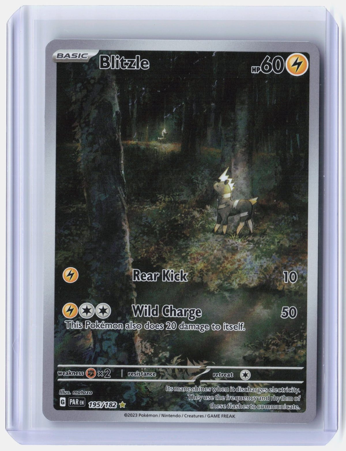 Blitzle - 195/182