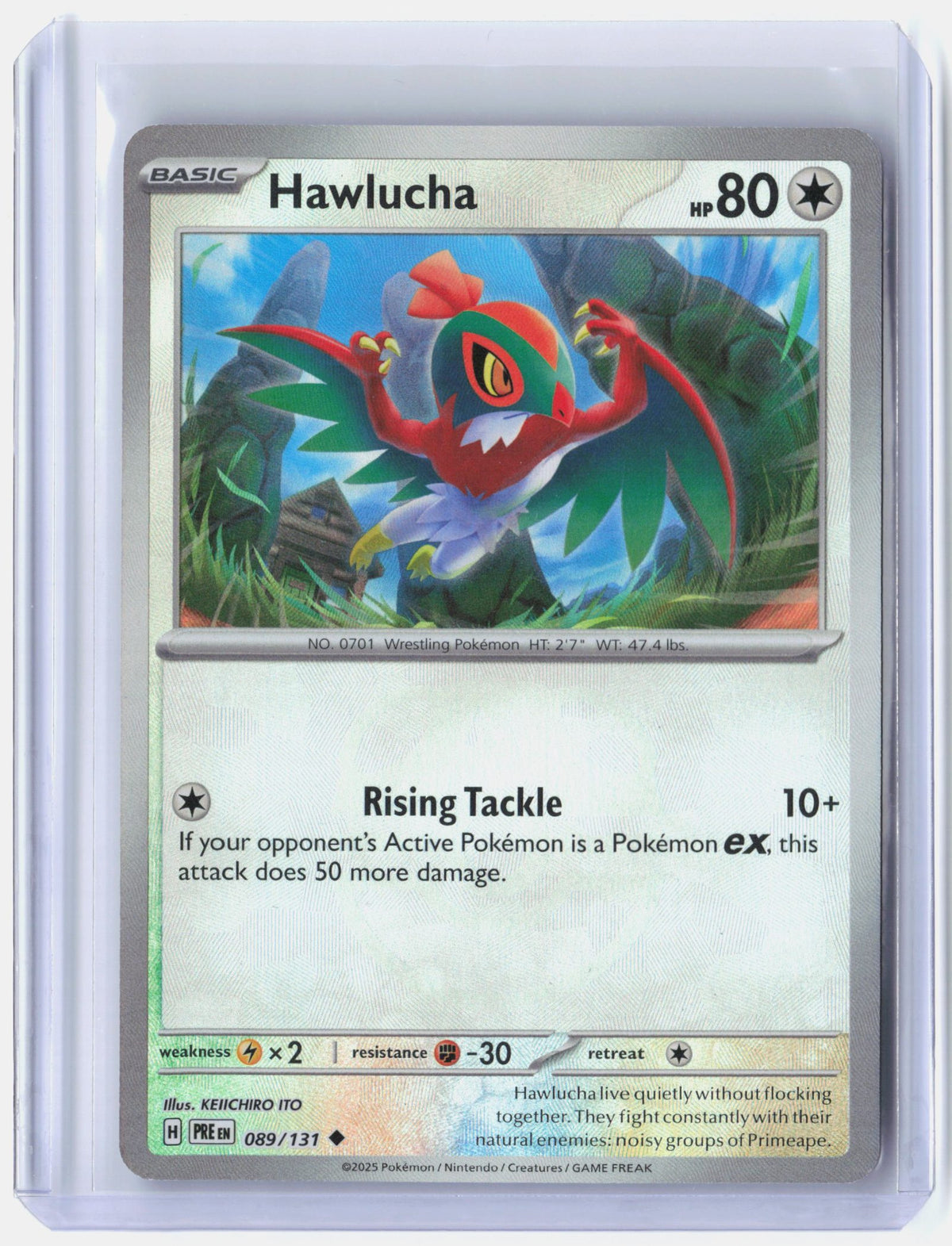 Hawlucha (Master Ball Pattern)