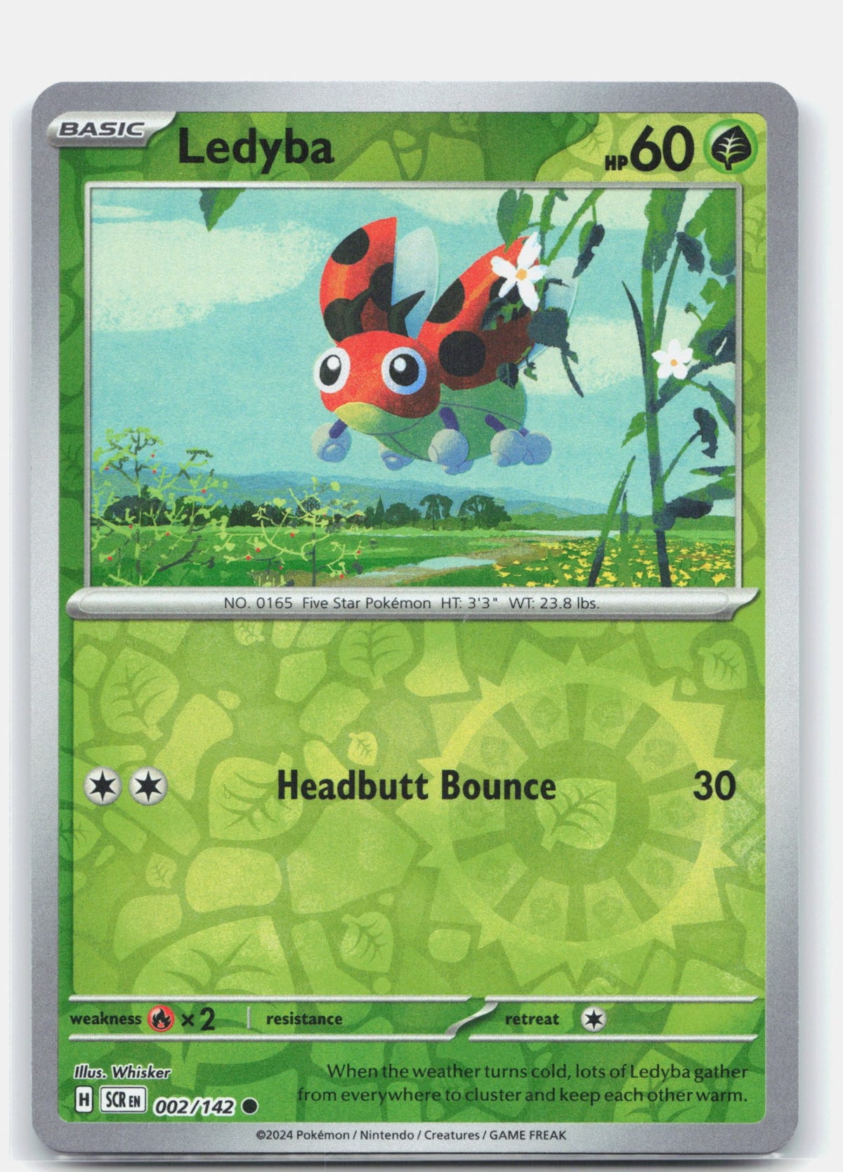 Ledyba