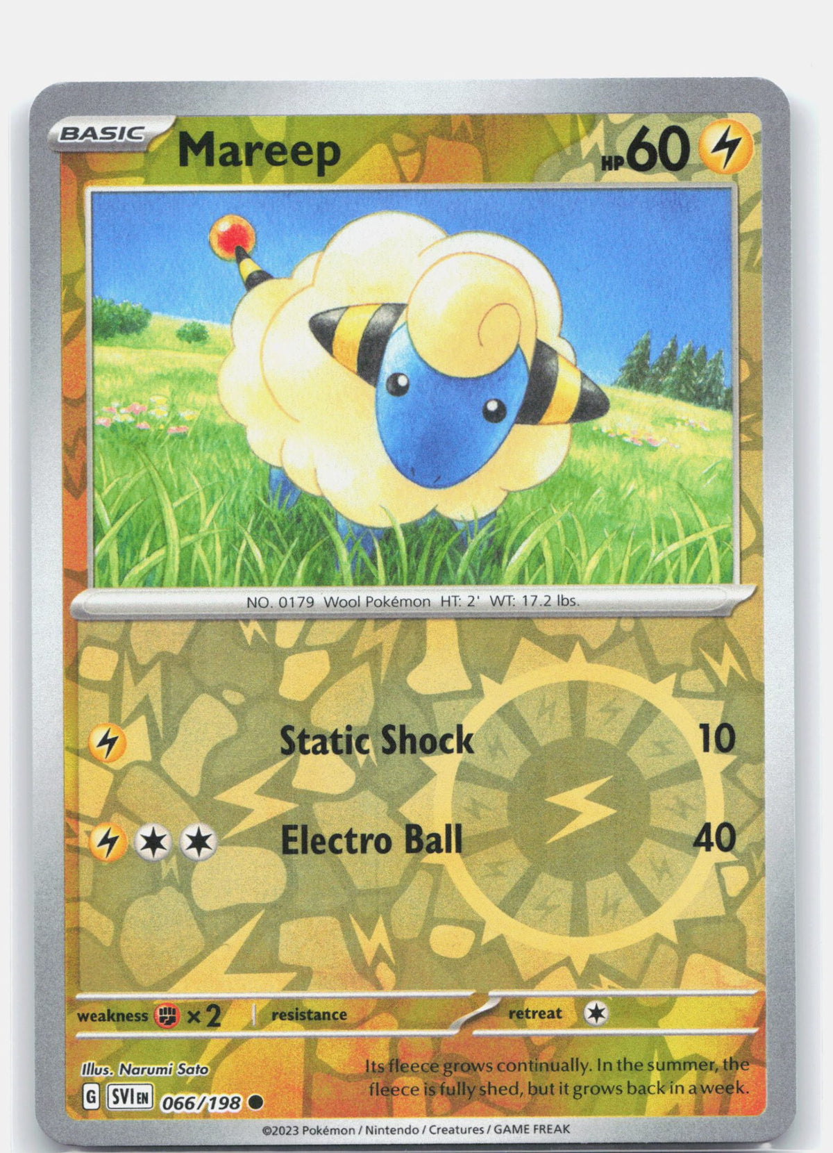 Mareep