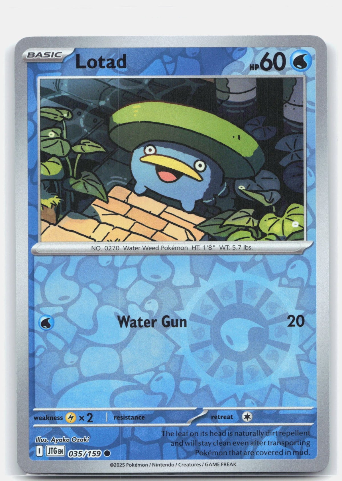 Lotad