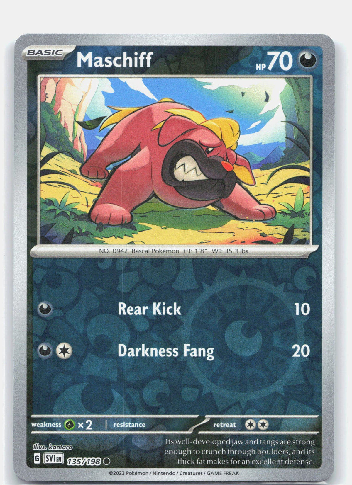 Maschiff - 135/198