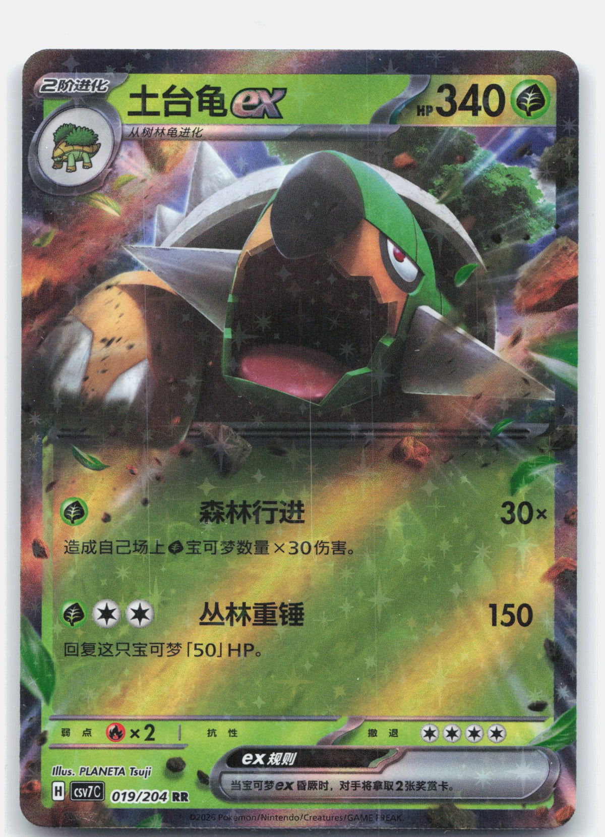 Torterra ex - 19
