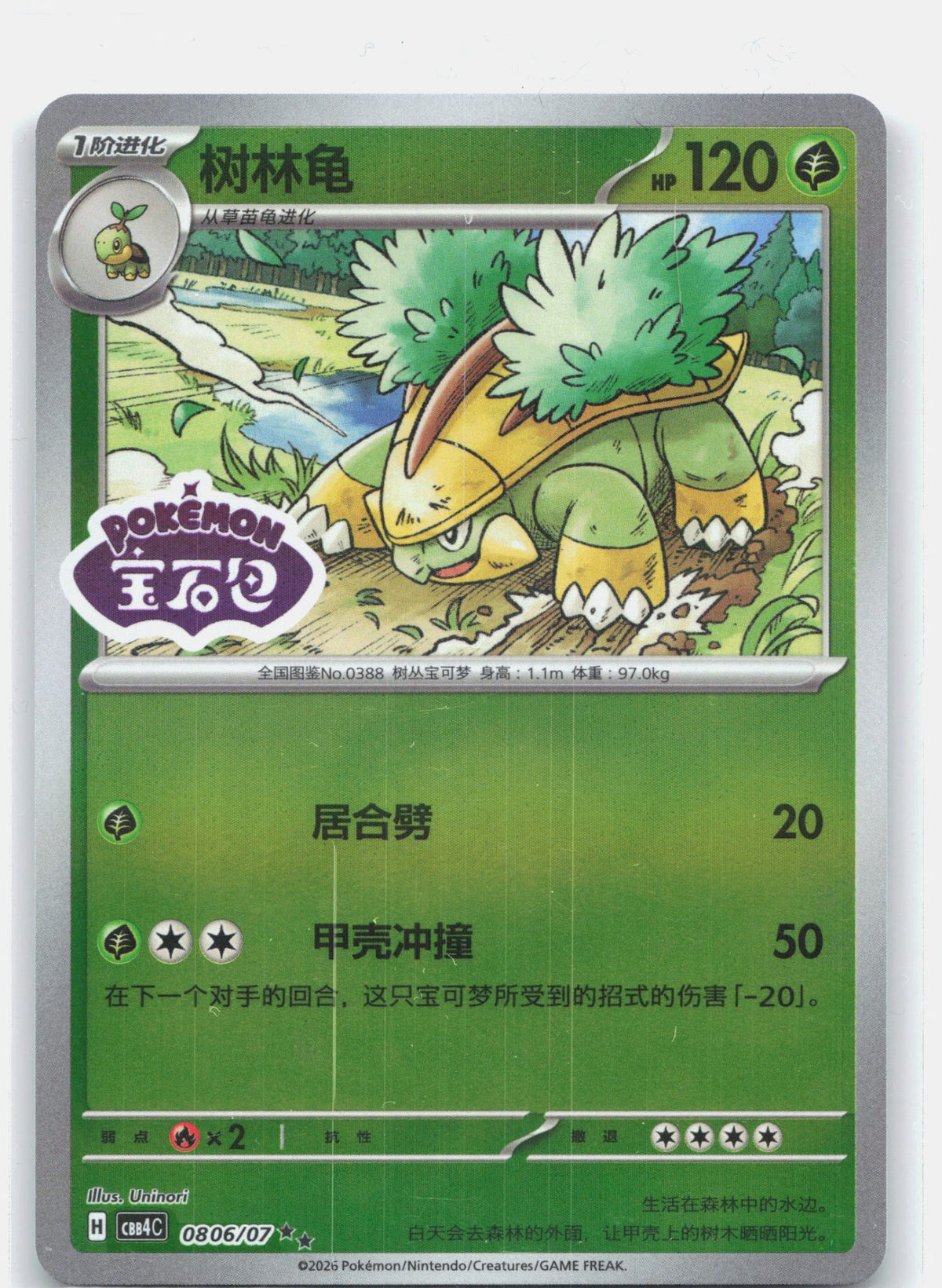 Grotle (Stamped) - 806