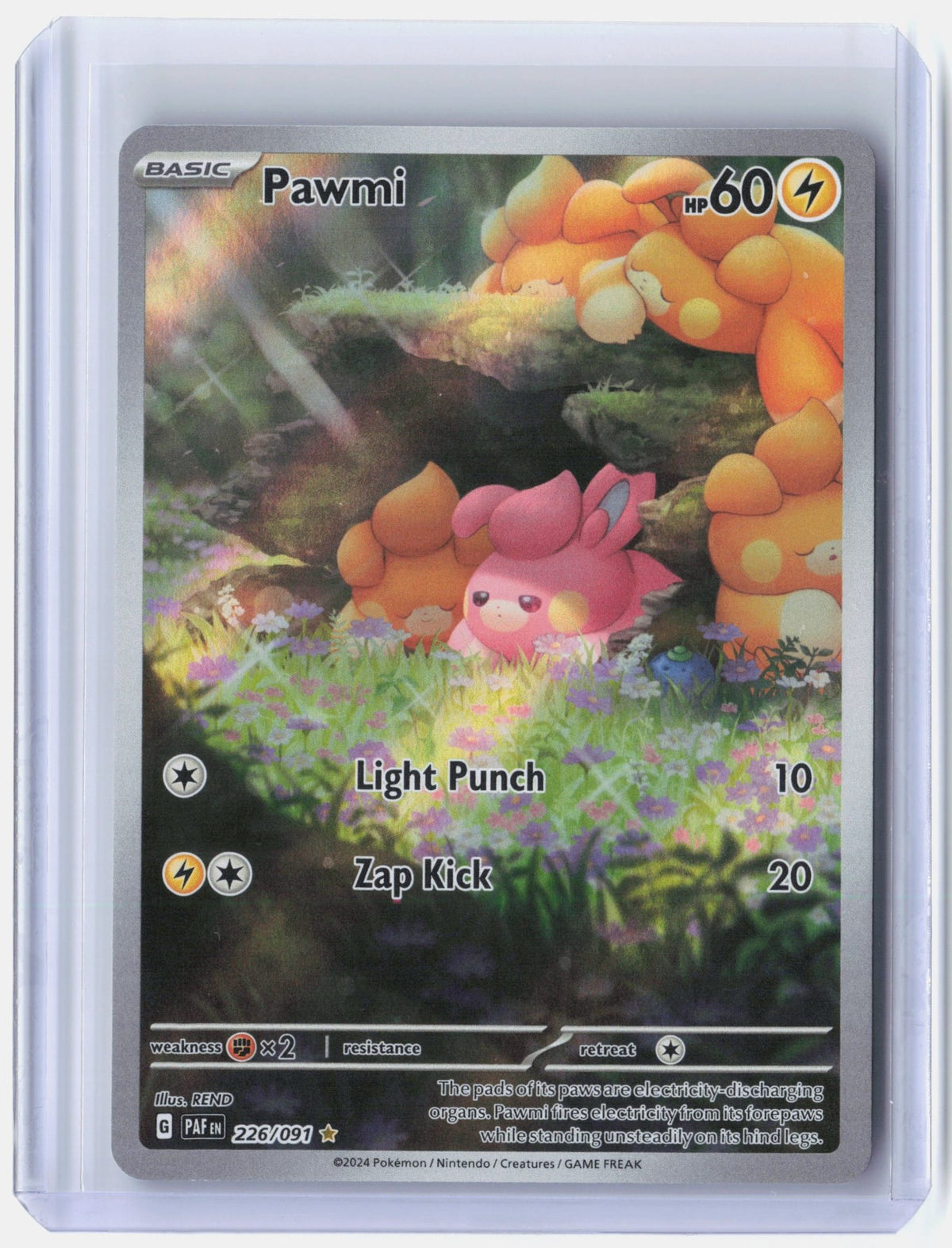 Pawmi - 226/091