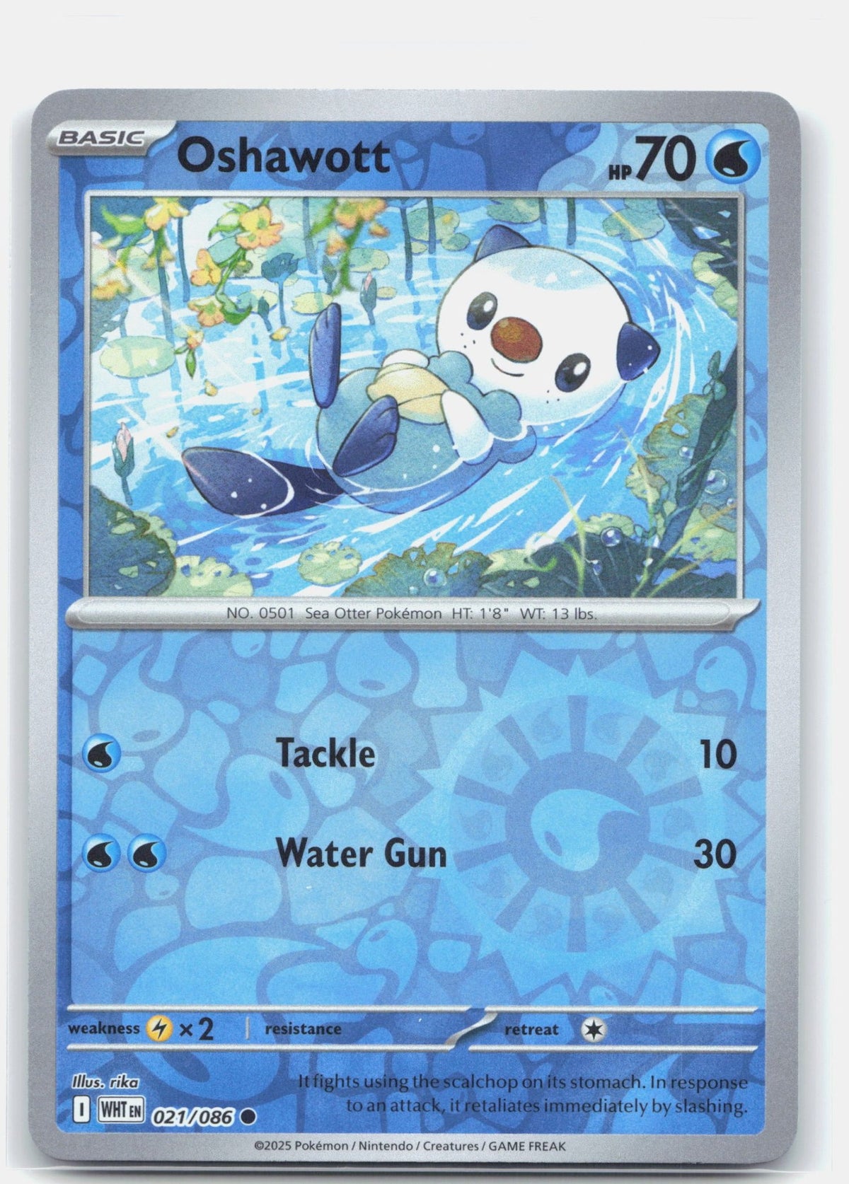 Oshawott | Near Mint