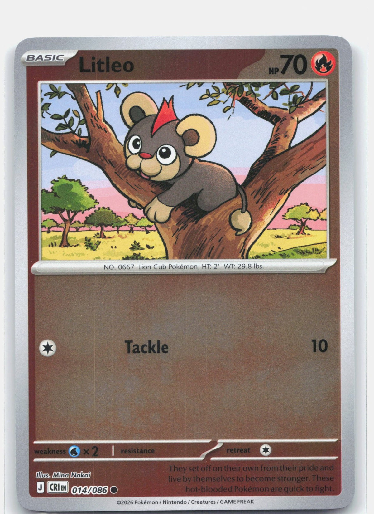 Litleo